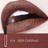 Waterproof Matte Liquid Lipstick